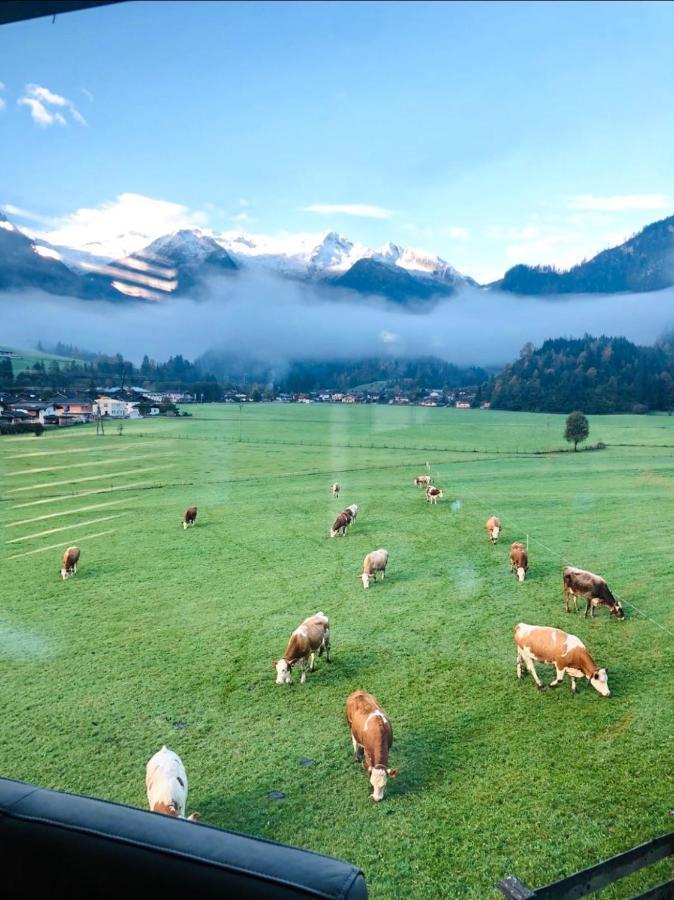 Apartment Weitblick Wald im Pinzgau Exterior foto