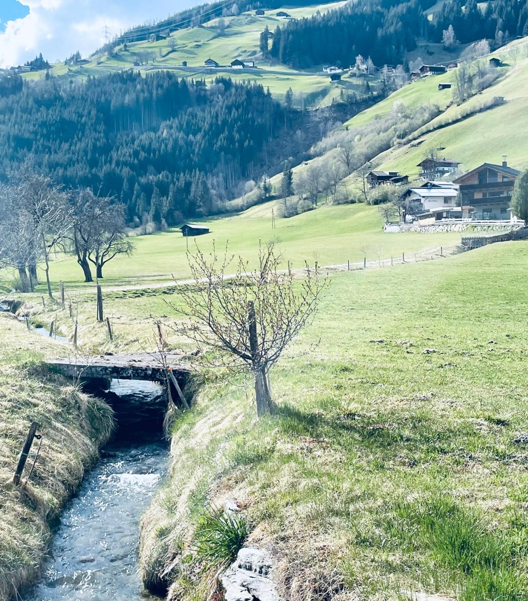 Apartment Weitblick Wald im Pinzgau Exterior foto